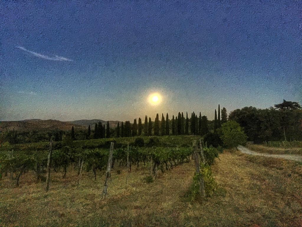 Tenuta Lupinari Bucine Kültér fotó